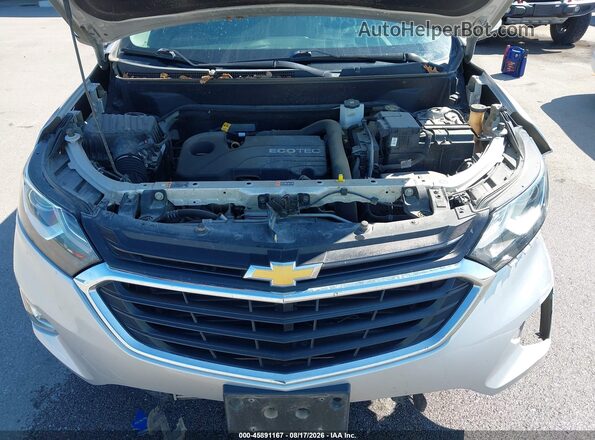 3GNAXUEV8KS679045 2019 CHEVROLET EQUINOX Silver Вид ззаду
