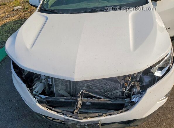 3GNAXUEV9KS534404 2019 CHEVROLET EQUINOX White Вид задньої частини салону