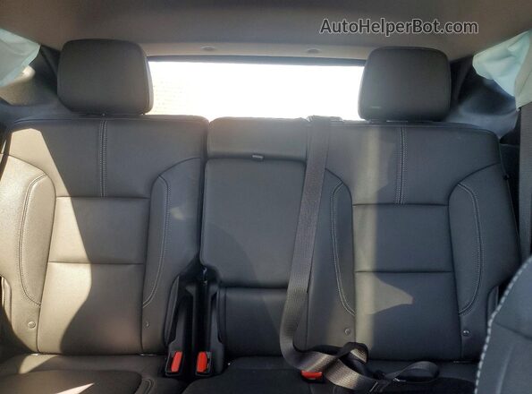 3GNKBDR43PS217195 2023 CHEVROLET BLAZER Silver Widok tylnych siedzeń