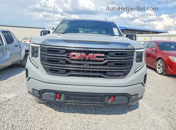 3GTUUEEL5RG301202 2024 GMC SIERRA Green Widok z przodu