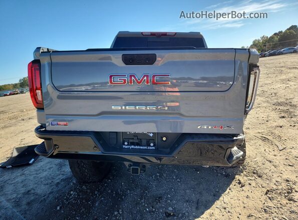 3GTUUFEL4RG242746 2024 GMC SIERRA Серый Вид сзади