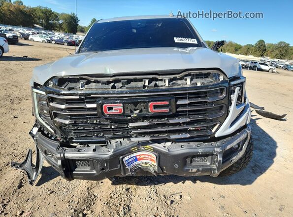 3GTUUFEL4RG242746 2024 GMC SIERRA Серый Вид спереди
