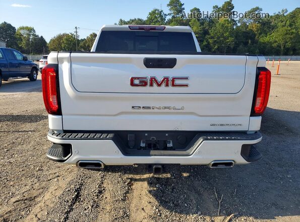 3GTUUGE89RG205449 2024 GMC SIERRA White Widok z tyłu