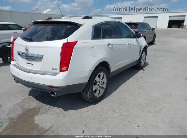 3GYFNBE35GS503787 2016 CADILLAC SRX Белый Задняя правая четверть