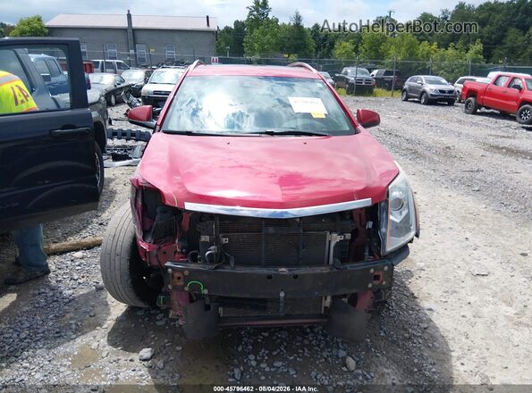 3GYFNCE36GS561204 2016 CADILLAC SRX Красный Вид задней части салона