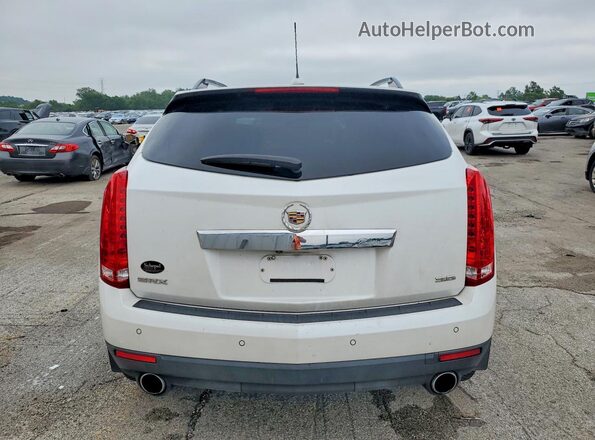 3GYFNCE38GS547031 2016 CADILLAC SRX Белый Вид сзади