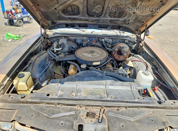 3J57K2M163837 1972 OLDSMOBILE CUTLASS Золотой Вид задней части салона