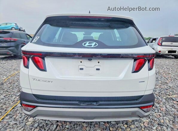 3KMJACDE1SE010052 2025 HYUNDAI TUCSON White უკანა ხედი