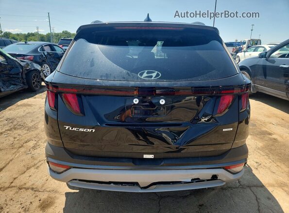 3KMJBCDEXSE018700 2025 HYUNDAI TUCSON Black Widok z tyłu