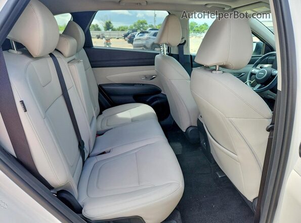 3KMJC3DE6SE011062 2025 HYUNDAI TUCSON Белый Вид задней части салона