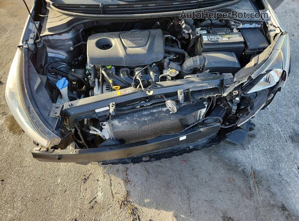 3KPA24AB4KE181233 2019 KIA RIO Gray Սալոնի հետևի տեսք