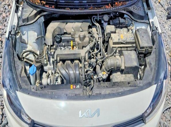 3KPA24AD7PE530085 2023 KIA RIO Белый Вид задней части салона
