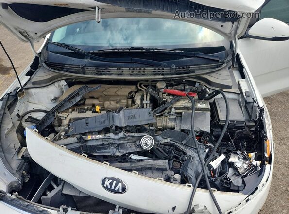 3KPA24AD8ME393718 2021 KIA RIO Белый Вид задней части салона