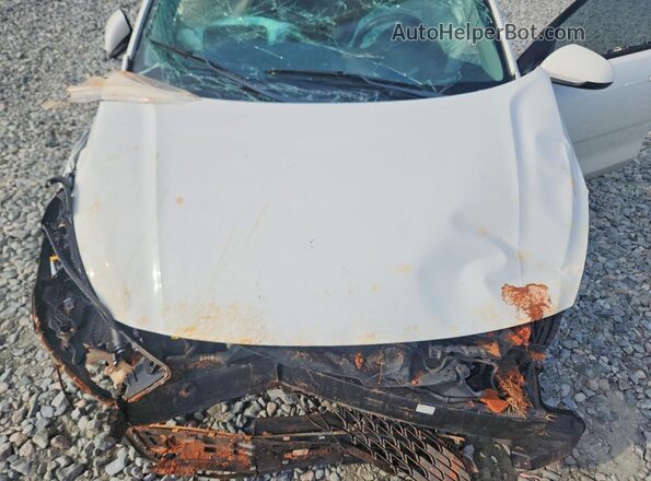 3KPA24ADXLE330232 2020 KIA RIO White Widok wnętrza z tyłu