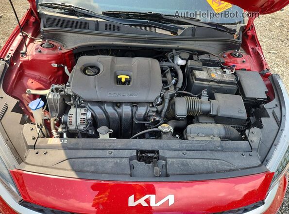 3KPF24AD1RE697986 2024 KIA FORTE Red Սալոնի հետևի տեսք