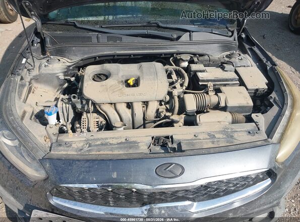 3KPF24AD7KE099357 2019 KIA FORTE Gray 