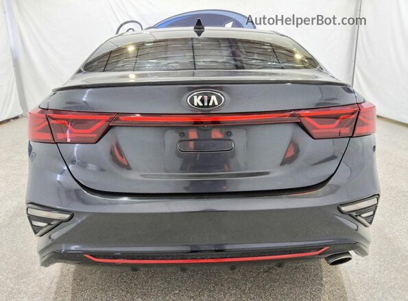 3KPF34AD3LE151954 2020 KIA FORTE Gray Rear view