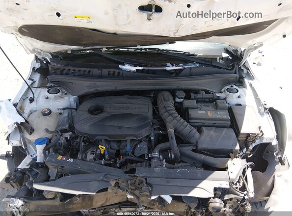 3KPF44AC0PE548936 2023 KIA FORTE White Widok z tyłu