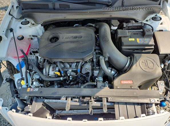 3KPF44AC4RE839006 2024 KIA FORTE White Սալոնի հետևի տեսք