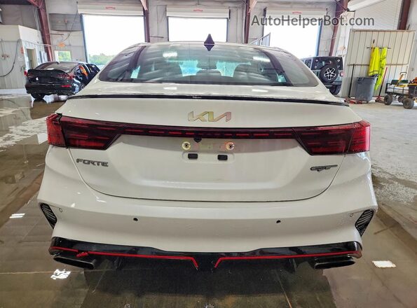 3KPF44AC8PE592392 2023 KIA FORTE White Widok z tyłu