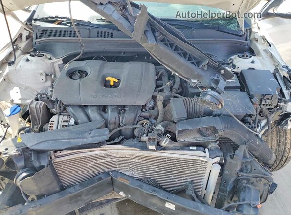 3KPF54AD2KE127038 2019 KIA FORTE White Widok wnętrza z tyłu