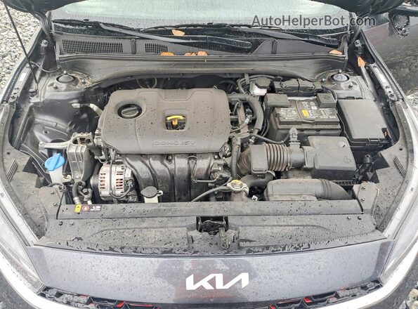3KPF54AD5RE829154 2024 KIA FORTE Gray Սալոնի հետևի տեսք