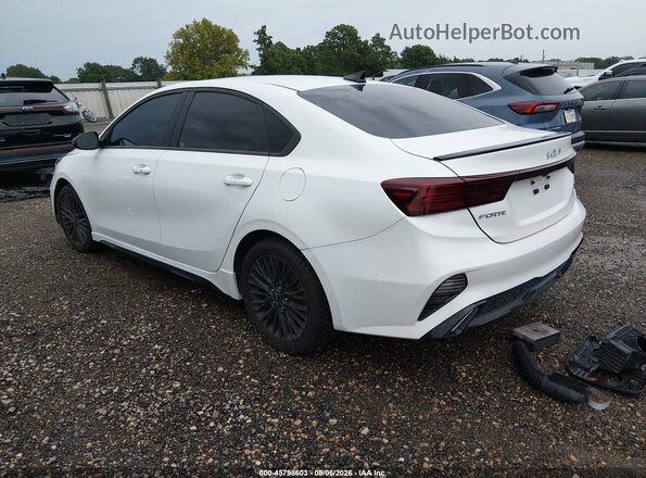3KPF54AD8PE549306 2023 KIA FORTE Белый Задняя левая четверть