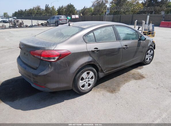 3KPFK4A72HE063501 2017 KIA FORTE Dark Brown Tył prawy