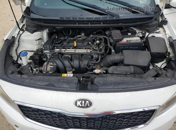 3KPFK4A72HE070657 2017 KIA FORTE White Вид задньої частини салону