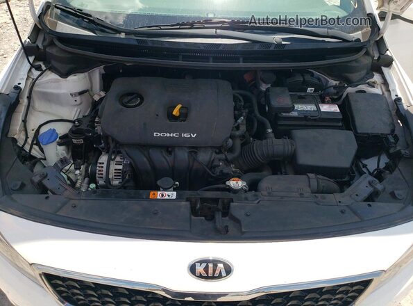 3KPFK4A77HE092007 2017 KIA FORTE White Вид задньої частини салону