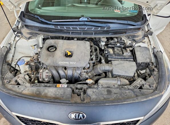 3KPFK4A79HE069764 2017 KIA FORTE White Սալոնի հետևի տեսք