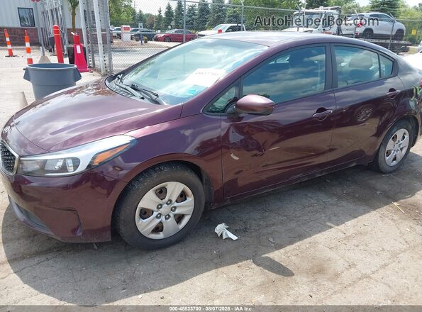 3KPFK4A79HE150229 2017 KIA FORTE Burgundy Front view