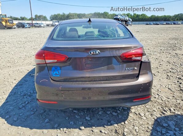 3KPFK4A7XHE081700 2017 KIA FORTE Gray უკანა ხედი
