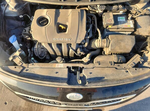 3KPFK4A7XHE083611 2017 KIA FORTE Black Սալոնի հետևի տեսք