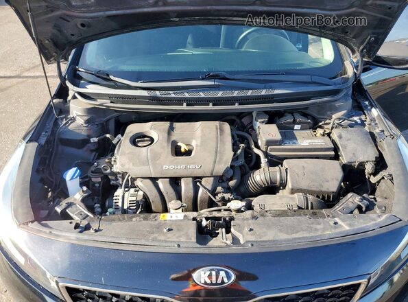 3KPFL4A71HE042362 2017 KIA FORTE Черный Вид задней части салона