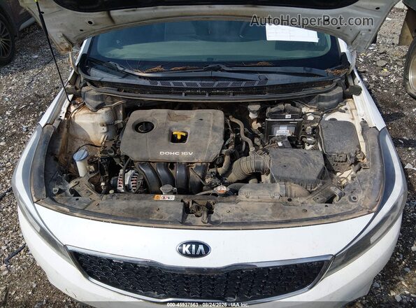 3KPFL4A72HE007233 2017 KIA FORTE White Вид ззаду