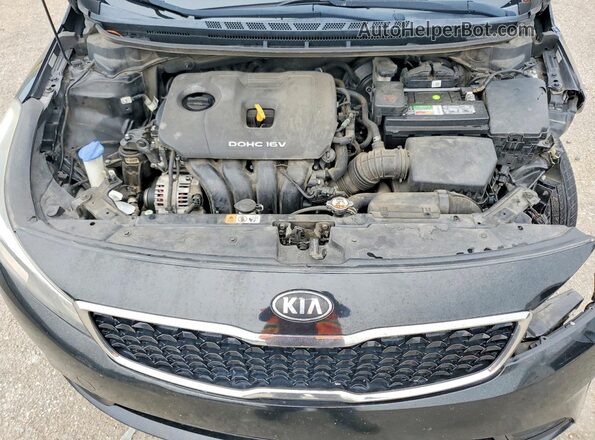 3KPFL4A72HE074978 2017 KIA FORTE Black Vista interior trasera