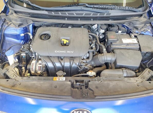 3KPFL4A74HE030206 2017 KIA FORTE Blue Սալոնի հետևի տեսք