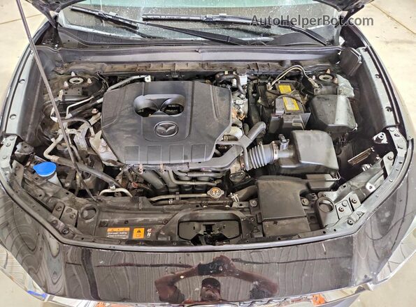 3MVDMBAM1RM694239 2024 MAZDA CX-30 Black Widok wnętrza z tyłu