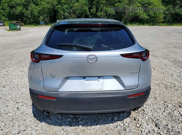 3MVDMBBL1MM257288 2021 MAZDA CX-30 Silver უკანა ხედი