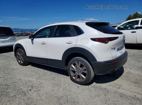 3MVDMBBL8MM213451 2021 MAZDA CX-30 White უკანა მარცხენა