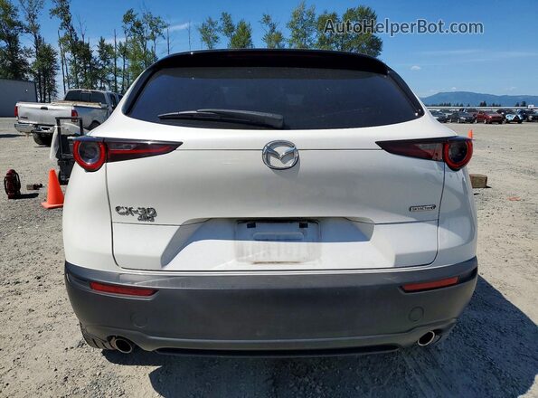 3MVDMBBL8MM213451 2021 MAZDA CX-30 White უკანა ხედი