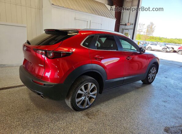 3MVDMBBL9NM437524 2022 MAZDA CX-30 Burgundy Tył prawy
