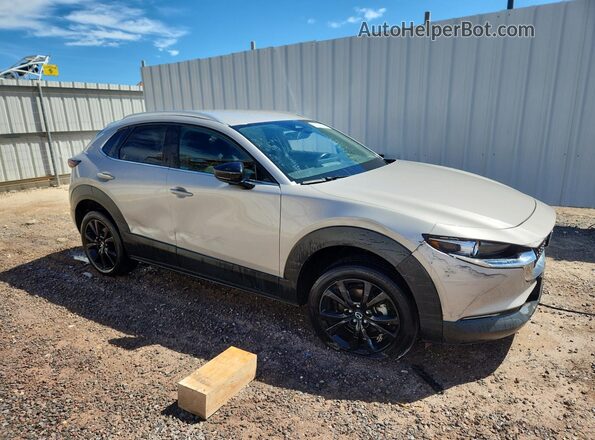 3MVDMBBM2RM652175 2024 MAZDA CX-30 Серебряный Панорамный вид салона 360°