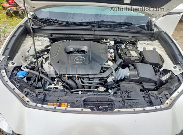3MVDMBBM4PM553385 2023 MAZDA CX-30 White Սալոնի հետևի տեսք