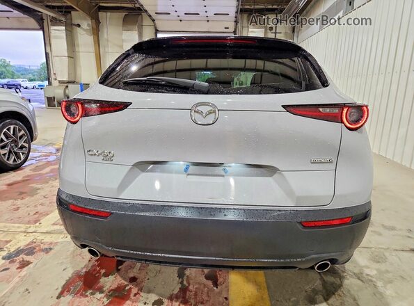 3MVDMBBM8SM843380 2025 MAZDA CX-30 Silver უკანა ხედი