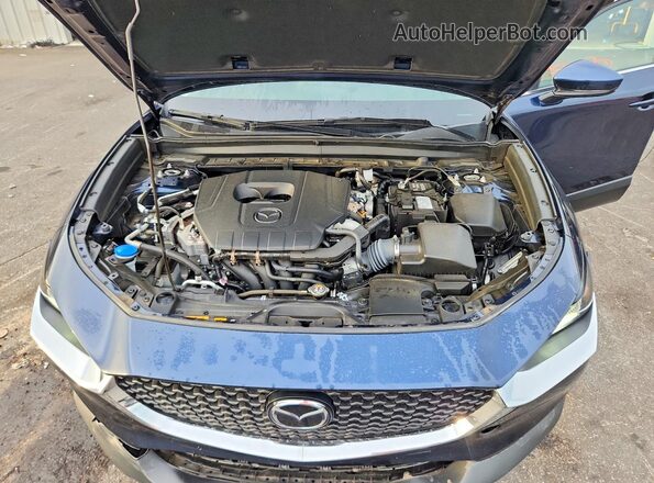 3MVDMBBMXPM569977 2023 MAZDA CX-30 Blue Vista interior trasera