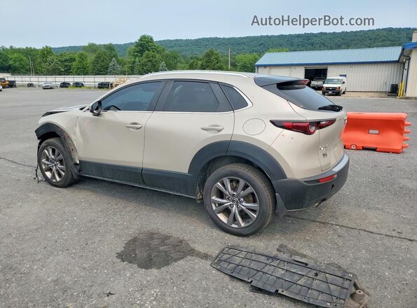3MVDMBCM2RM628408 2024 MAZDA CX-30 Золотой Задняя левая четверть