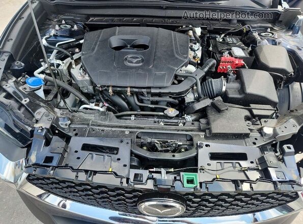 3MVDMBCM2SM863865 2025 MAZDA CX-30 Blue Սալոնի հետևի տեսք