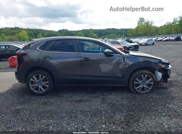 3MVDMBDL2LM114409 2020 MAZDA CX-30 Серый Вид задней части салона